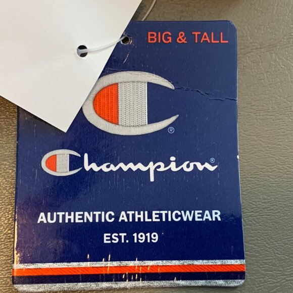 Champion Men's Big & Tall Double-Script Logo Graphic T-Shirt, Yellow, 3XL - Picture 5 of 6